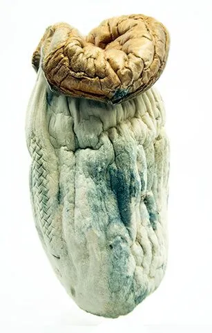 $55-$65 1/2 Ounce Magic Mushroom Specials - Image 2