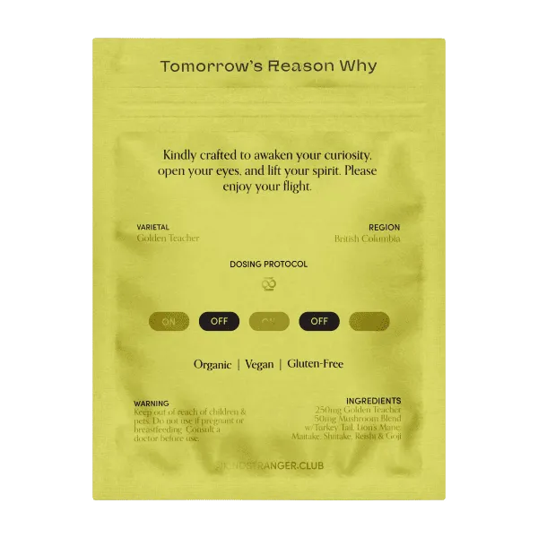 Brighten Magic Mushroom Capsules (250mg) by Kind Stranger - Image 2