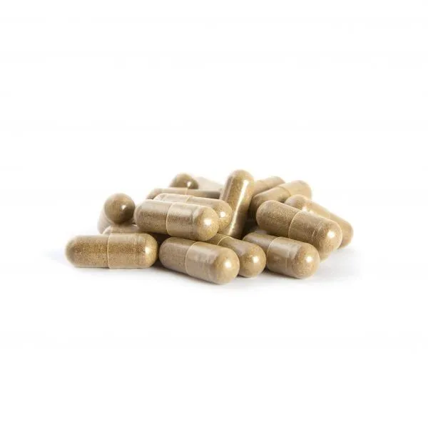 Osmosis Brain Boost: 200mg Magic Mushroom Capsules - Image 3