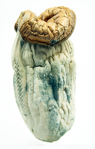 Makilla Gorilla Magic Mushrooms