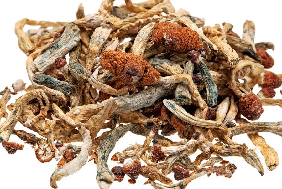 Dried Mushrooms