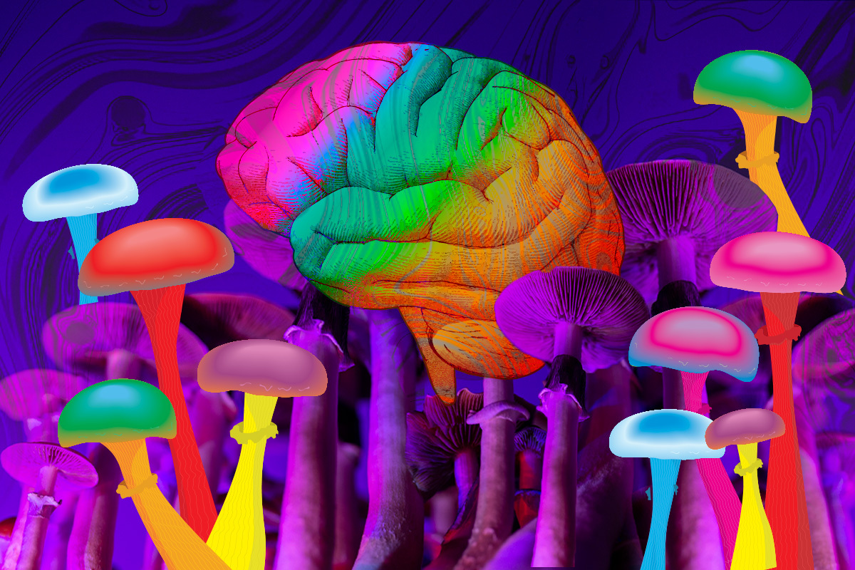 How Magic Mushrooms Could Affect Your Brain