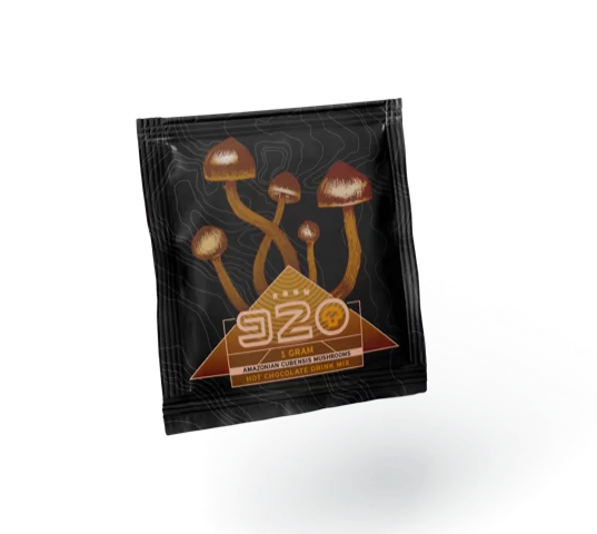 920 Hot Chocolate – 1000mg