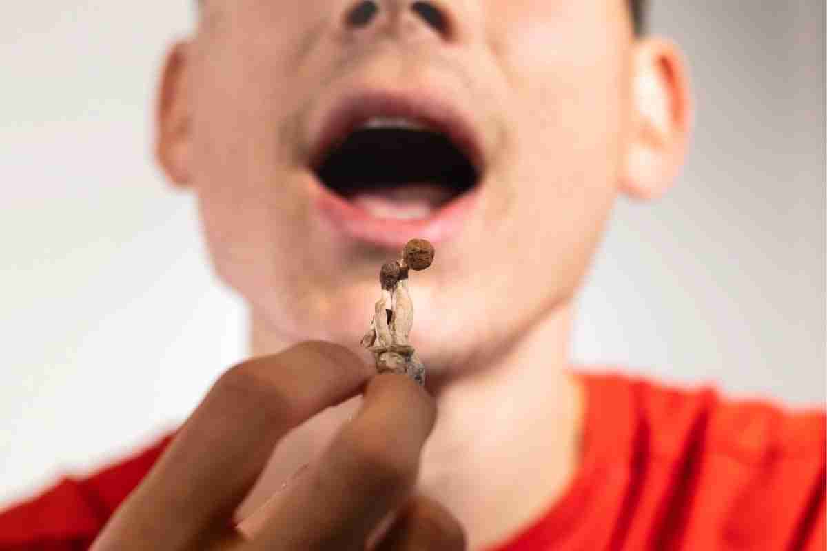 Managing Panic Attacks with Magic Mushrooms: An Exploration