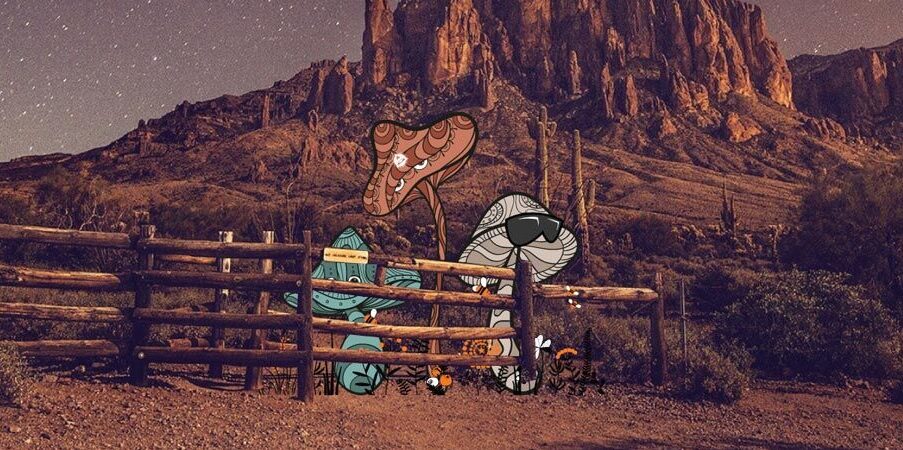 3Amigos Mushroom Shop