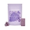 Euphoria Psychedelics – Lego Brick Grape Gummies (1000mg)