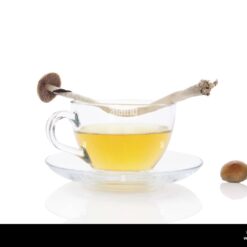 Magic Mushroom Tea
