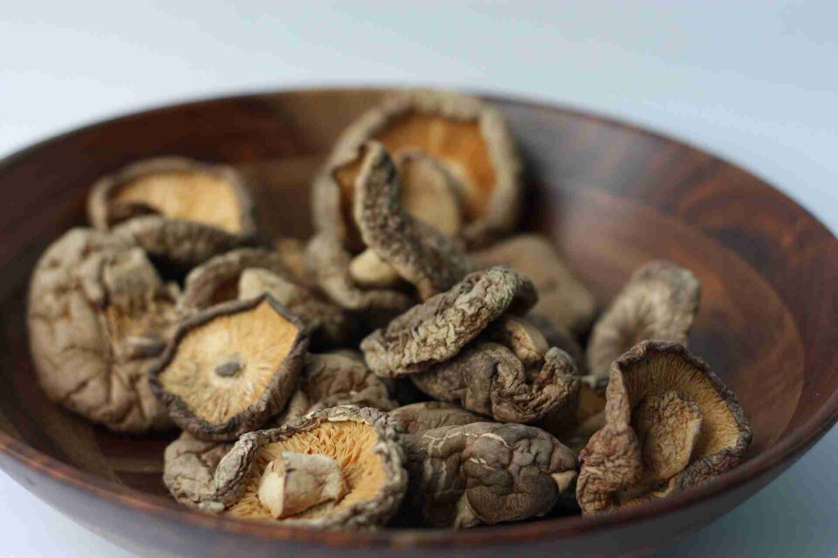 Comprehensive Research: Are Shrooms Bad for Your Liver?