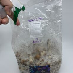 3 Amigos Ultimate All-In-One Magic Mushroom Grow Kit