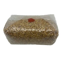 3Amigos Magic Mushroom Sterile Grain Bag