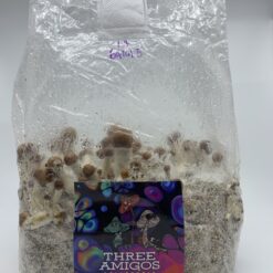 3 Amigos Ultimate All-In-One Magic Mushroom Grow Kit